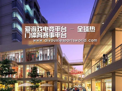 案例展示一(图1)